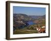 Douro Valley, Pinhao, Quinta Nova De Nossa Senhora Do Carmo Estate - First Wine Hotel in Portugal-Camilla Watson-Framed Photographic Print
