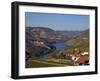 Douro Valley, Pinhao, Quinta Nova De Nossa Senhora Do Carmo Estate - First Wine Hotel in Portugal-Camilla Watson-Framed Photographic Print