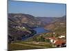 Douro Valley, Pinhao, Quinta Nova De Nossa Senhora Do Carmo Estate - First Wine Hotel in Portugal-Camilla Watson-Mounted Photographic Print