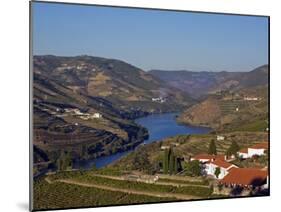 Douro Valley, Pinhao, Quinta Nova De Nossa Senhora Do Carmo Estate - First Wine Hotel in Portugal-Camilla Watson-Mounted Photographic Print