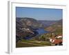 Douro Valley, Pinhao, Quinta Nova De Nossa Senhora Do Carmo Estate - First Wine Hotel in Portugal-Camilla Watson-Framed Photographic Print