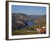 Douro Valley, Pinhao, Quinta Nova De Nossa Senhora Do Carmo Estate - First Wine Hotel in Portugal-Camilla Watson-Framed Photographic Print