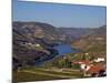Douro Valley, Pinhao, Quinta Nova De Nossa Senhora Do Carmo Estate - First Wine Hotel in Portugal-Camilla Watson-Mounted Photographic Print