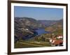 Douro Valley, Pinhao, Quinta Nova De Nossa Senhora Do Carmo Estate - First Wine Hotel in Portugal-Camilla Watson-Framed Photographic Print