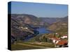 Douro Valley, Pinhao, Quinta Nova De Nossa Senhora Do Carmo Estate - First Wine Hotel in Portugal-Camilla Watson-Stretched Canvas