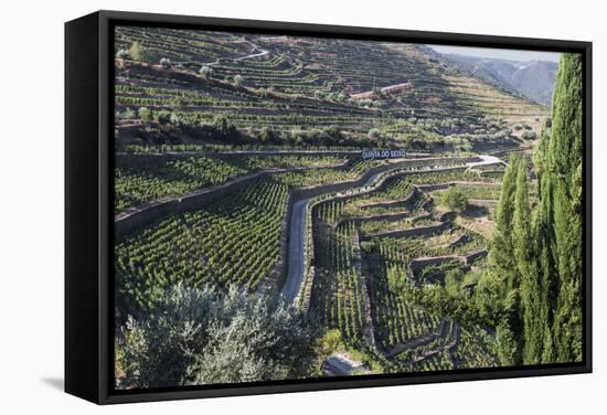 Douro Valley, Terraced Vineyards of Sandeman That Produces Port Wines-Mallorie Ostrowitz-Framed Stretched Canvas