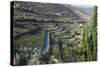 Douro Valley, Terraced Vineyards of Sandeman That Produces Port Wines-Mallorie Ostrowitz-Stretched Canvas