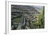 Douro Valley, Terraced Vineyards of Sandeman That Produces Port Wines-Mallorie Ostrowitz-Framed Photographic Print