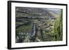 Douro Valley, Terraced Vineyards of Sandeman That Produces Port Wines-Mallorie Ostrowitz-Framed Photographic Print