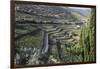 Douro Valley, Terraced Vineyards of Sandeman That Produces Port Wines-Mallorie Ostrowitz-Framed Photographic Print