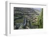 Douro Valley, Terraced Vineyards of Sandeman That Produces Port Wines-Mallorie Ostrowitz-Framed Photographic Print