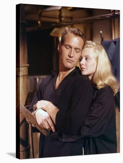 Doux oiseau by jeunesse SWEET BIRD OF YOUTH by RichardBrooks with Shirley Knight and Paul Newman, 1-null-Stretched Canvas