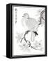 Dove, 1886-null-Framed Stretched Canvas