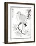 Dove, 1886-null-Framed Giclee Print