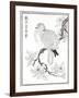 Dove, 1886-null-Framed Giclee Print