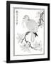 Dove, 1886-null-Framed Giclee Print