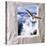 Dove Flying Toward Camera Through Plaster Frame with Ocean Waves in Background-null-Stretched Canvas