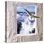 Dove Flying Toward Camera Through Plaster Frame with Ocean Waves in Background-null-Stretched Canvas