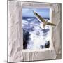 Dove Flying Toward Camera Through Plaster Frame with Ocean Waves in Background-null-Mounted Photographic Print