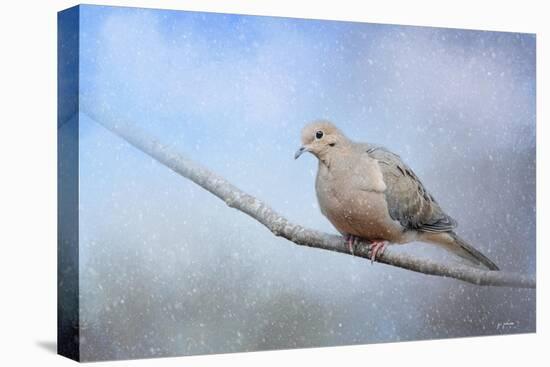 Dove in the Snow-Jai Johnson-Stretched Canvas