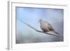 Dove in the Snow-Jai Johnson-Framed Giclee Print