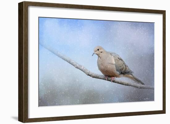 Dove in the Snow-Jai Johnson-Framed Giclee Print