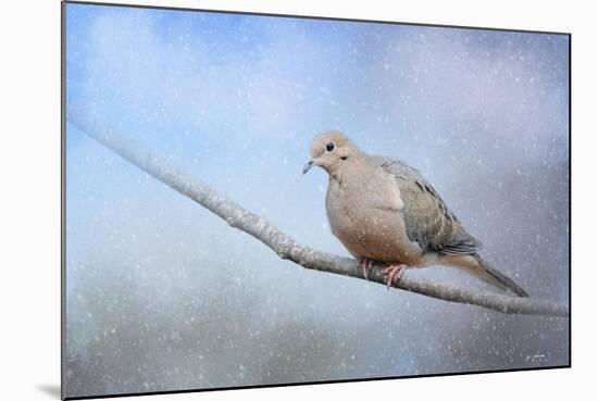 Dove in the Snow-Jai Johnson-Mounted Giclee Print