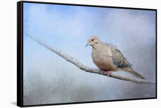 Dove in the Snow-Jai Johnson-Framed Stretched Canvas