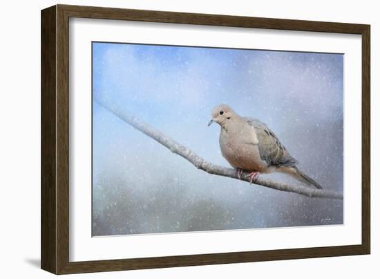 Dove in the Snow-Jai Johnson-Framed Giclee Print