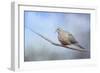 Dove in the Snow-Jai Johnson-Framed Giclee Print