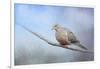 Dove in the Snow-Jai Johnson-Framed Giclee Print