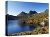 Dove Lake on 'Cradle Mountain-Lake St Clair National Park', Tasmania, Australia-Christian Kober-Stretched Canvas