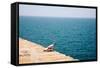 Dove on Wall by Sea-Felipe Rodriguez-Framed Stretched Canvas