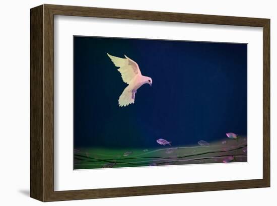 Dove wishing-Claire Westwood-Framed Art Print