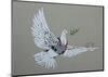 Dove-Banksy-Mounted Art Print