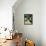 Dovecote; Exotic-Marco Cazzulini-Framed Stretched Canvas displayed on a wall
