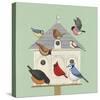 Dovecote I-Catriona Hall-Stretched Canvas