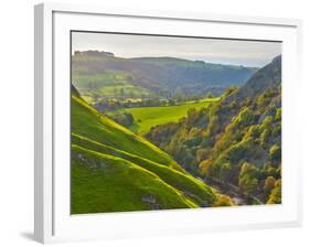 Dovedale, Peak District National Park, Derbyshire, England-Alan Copson-Framed Photographic Print