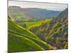 Dovedale, Peak District National Park, Derbyshire, England-Alan Copson-Mounted Photographic Print