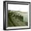 Dover (England), the Quays-Leon, Levy et Fils-Framed Photographic Print