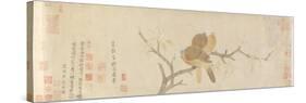 Doves and Pear Blossoms after Rain, Yuan Dynasty, Late 13th Century-Qian Xuan-Stretched Canvas