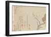 Doves and Pear Blossoms after the Rain-Qian Xuan-Framed Giclee Print