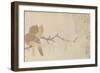 Doves and Pear Blossoms after the Rain-Qian Xuan-Framed Giclee Print