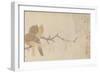 Doves and Pear Blossoms after the Rain-Qian Xuan-Framed Giclee Print