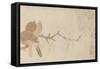 Doves and Pear Blossoms after the Rain-Qian Xuan-Framed Stretched Canvas