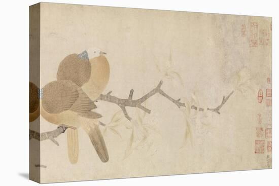 Doves and Pear Blossoms after the Rain-Qian Xuan-Stretched Canvas