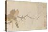 Doves and Pear Blossoms after the Rain-Qian Xuan-Stretched Canvas