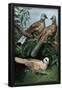 Essential Black