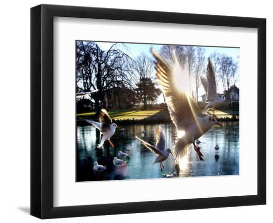 Premium Photographic Print, , large