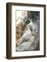 Doves Sitting on Tree Branch, in Chapultepec Park-John Dominis-Framed Photographic Print